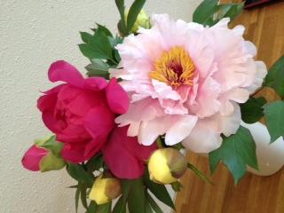 カフェトライハート水曜日のランチ。