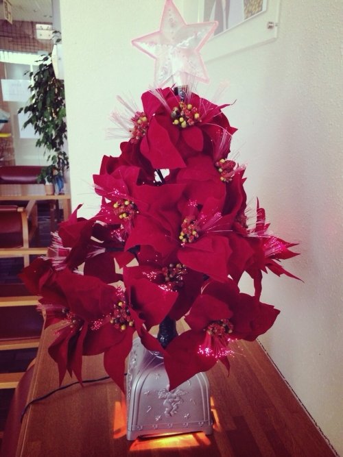 カフェはーとです♪