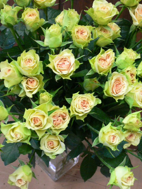 本日入荷のお花です。