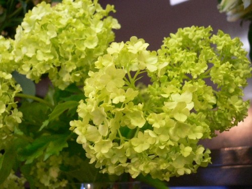 Flower教室 M's 2月コース終了しました。