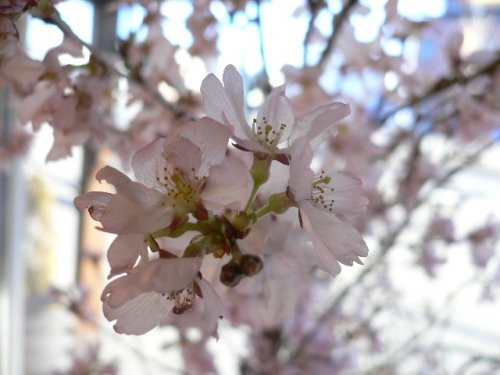Flower教室M's　4月コース終了しました。
