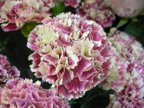 Flower教室　M's 7月コース終了しました。