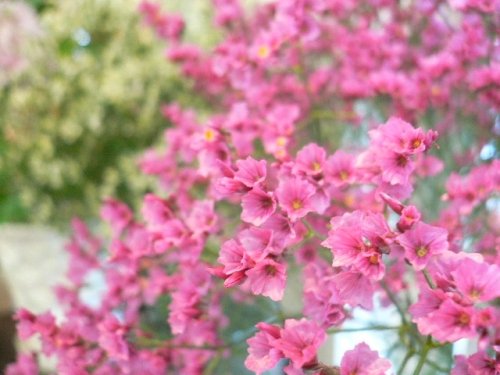 ここは、いつでも極寒です。。。それと。。。