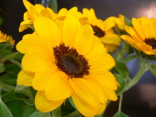 一日バケツ一杯運動。。。