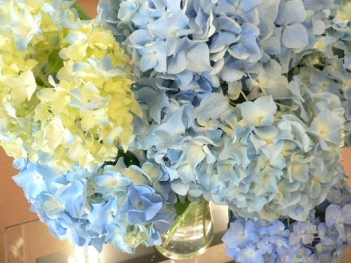 7月最終日。。。