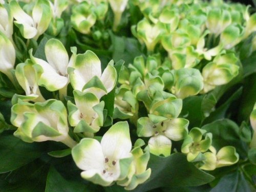 夏、満喫。。。してますか？