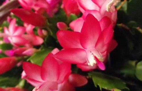 秋分の日。。。