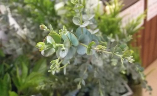 毎年恒例の。。。