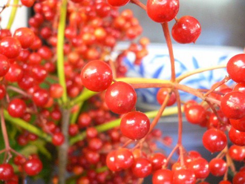 秋、ですね～。。。
