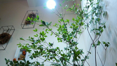 明日、明後日と連休させて頂きます