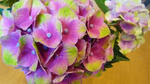 ガラス花器が多数入荷致しました!
