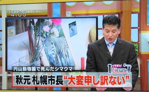 定例市長会見