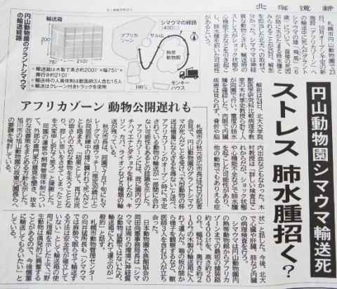 今朝の北海道新聞記事より