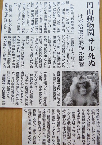 北海道新聞記事より
