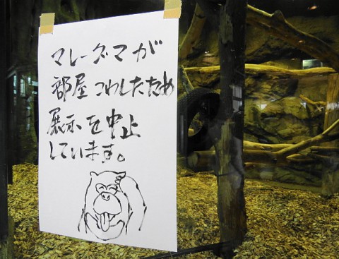 きれいに取り外しました