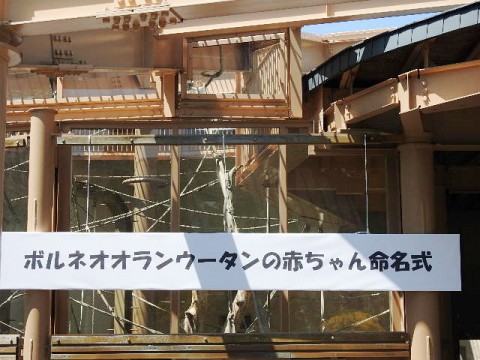 「ハルト」に決まりました