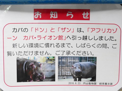 ドン・ザン親子～引っ越し完了