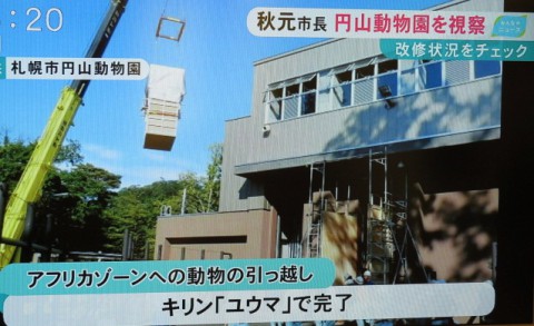 市長が視察に