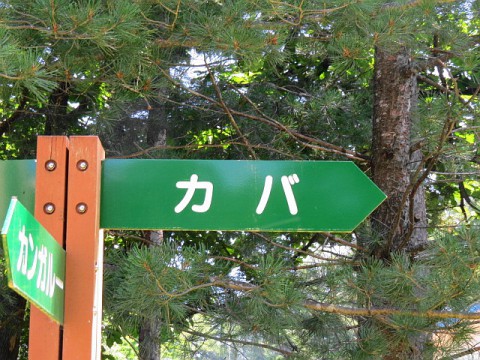 おびひろ ダイ