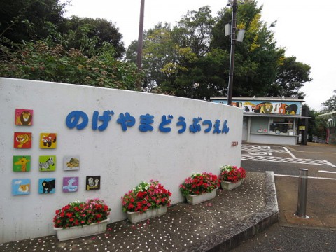 野毛山メイメイ~20歳になりました