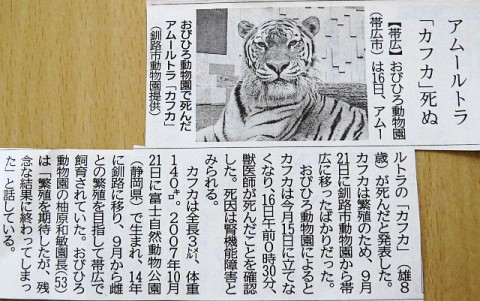 今朝の道新記事