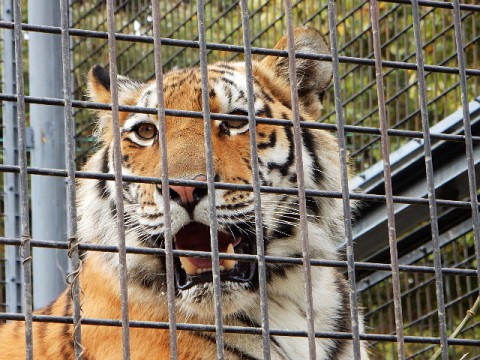 アサマに次いでアズサ移動