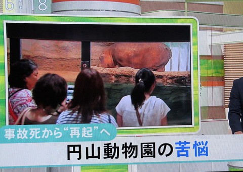 UHB みんなのニュースより