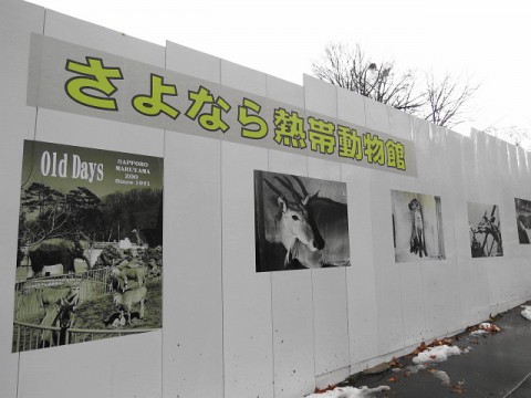 工事フェンスに懐かしい写真