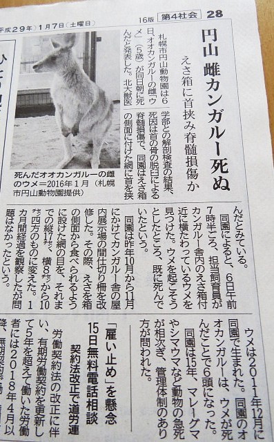 ウメの訃報