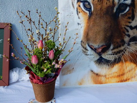 今日のメイメイの献花台