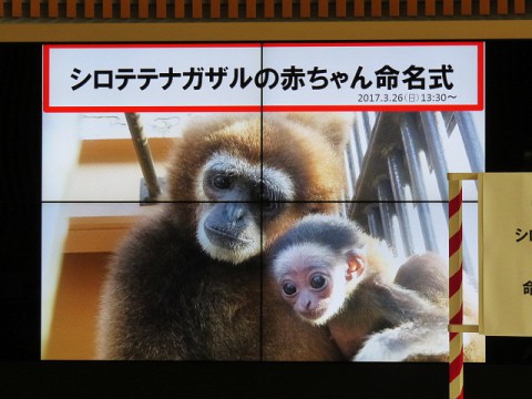 『そら』に決まりました