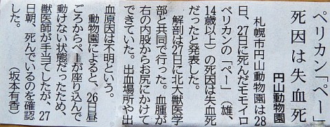今朝の道新より