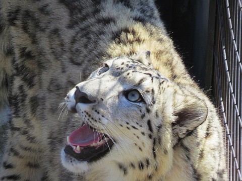 旭山 リヒト1歳のお誕生日