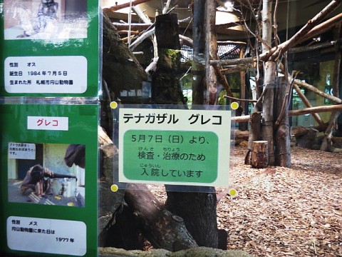 グレコの訃報