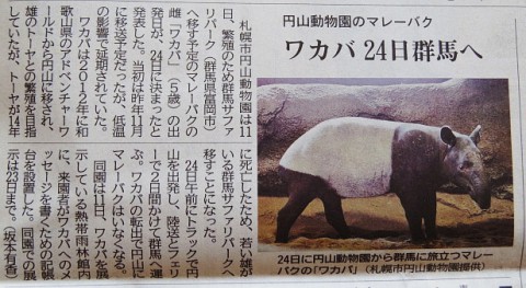 ワカバの移動日