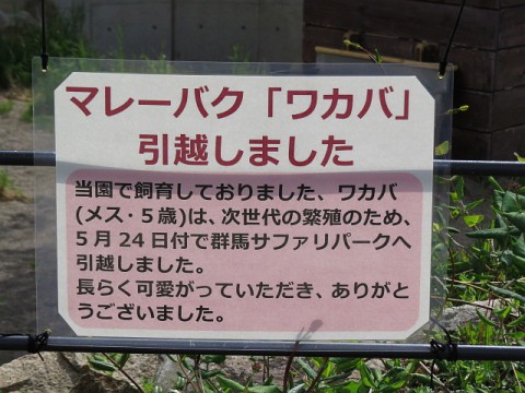 ワカバ無事到着