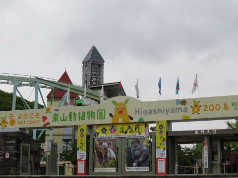 リアンに逢いに東山へ