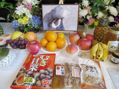 ウッチー命日