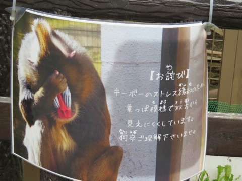 おびひろ　キーボー