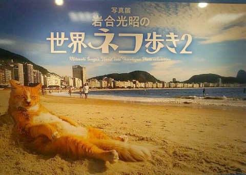 岩合光昭の世界ネコ歩き2