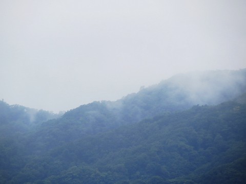 雨上がりの朝
