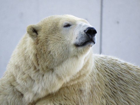 ララ　24歳のお誕生日