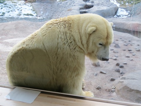 ララ