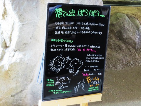 ポカポカ陽気