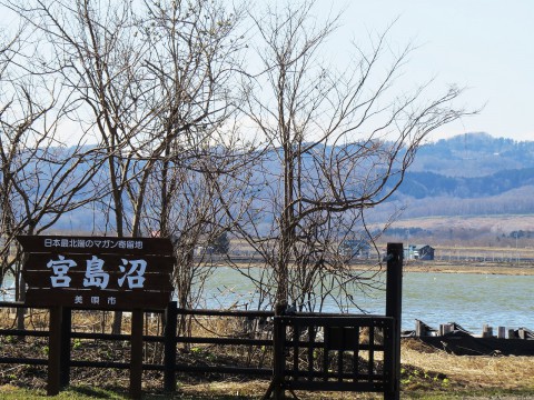 宮島沼
