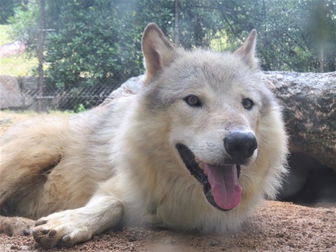 しばらくぶりのユウキ