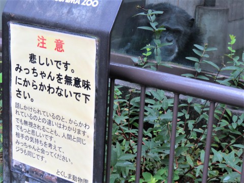 人間の関わり方