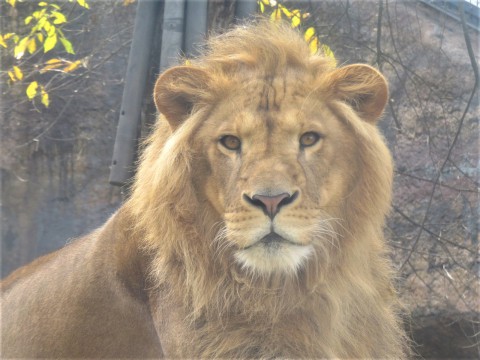 オリト 2歳3か月