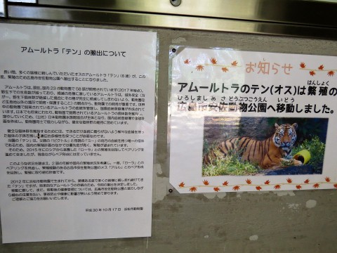 元気にしてるかな…