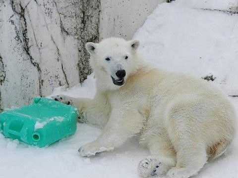 アイラ 9歳のお誕生日